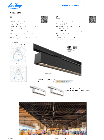 View pdf